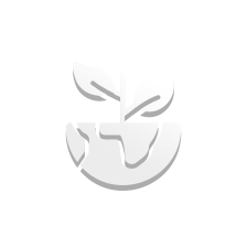 Environmental Scenarios